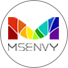 MSENVY CORP