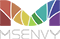 MSENVY CORP