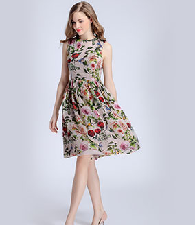 Clothing - Rose printed organza dress