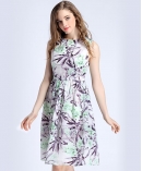 Floral printed organza dress