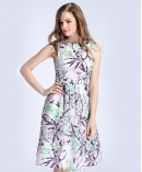 Floral printed organza dress