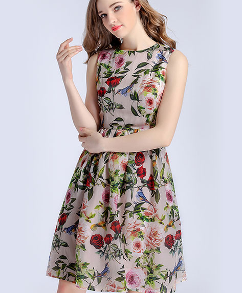 Clothing - Rose printed organza dress