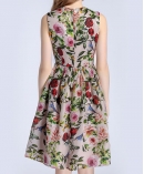 Rose printed organza dress