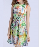 Floral printed organza dress