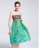 Printed silk chiffon  dress