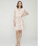 Paisley print silk-chiffon dress