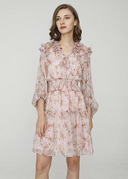 2024 Spring Summer - Floral print silk-chiffon dress